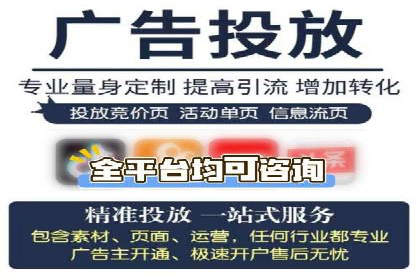 百度推广费用投入与用户转化路径的优化案例